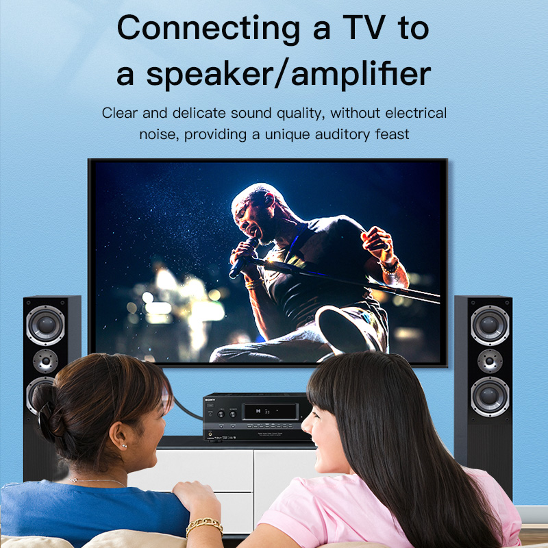 CHOSEAL RCA Cable Digital Coax - огляд і ціна Audio Home Cinema